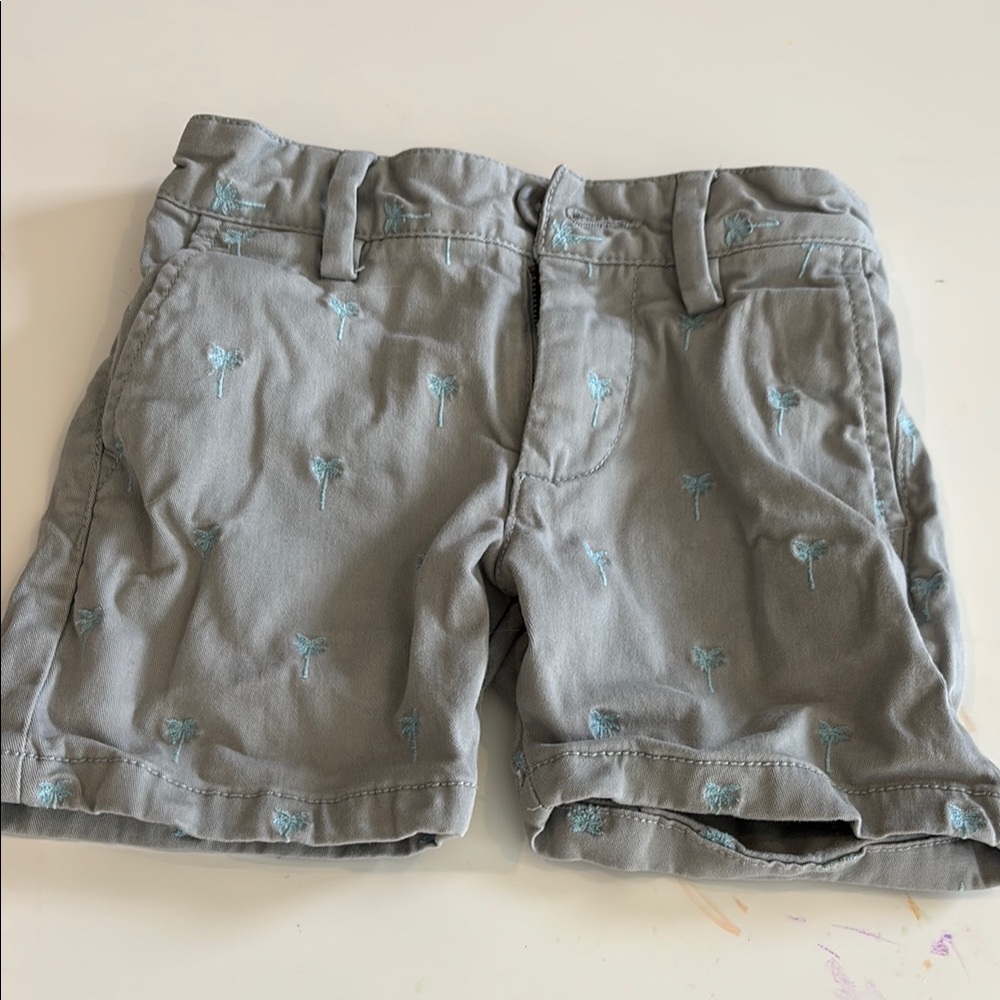 Gray Kids Shorts with Palm Tree Embroidery